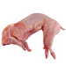 Conejo