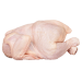 Gallina