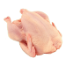 Pollo